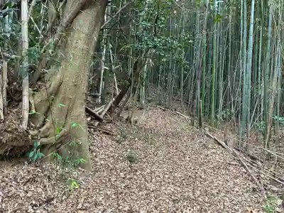 香取神社(千葉県)