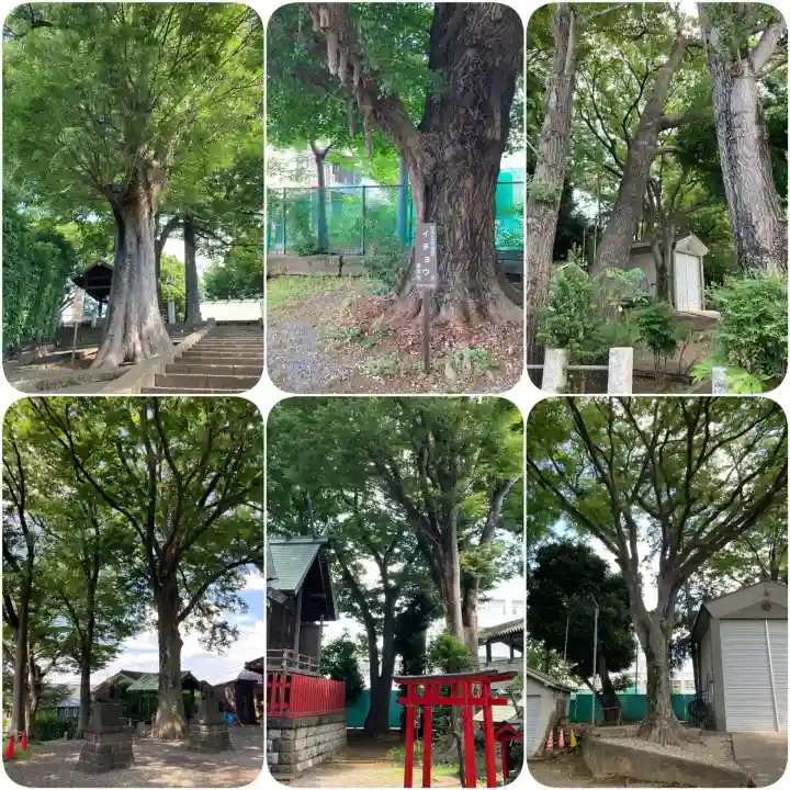 六角橋杉山大神(神奈川県)