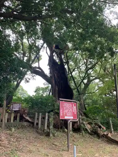 都萬神社のその他建物