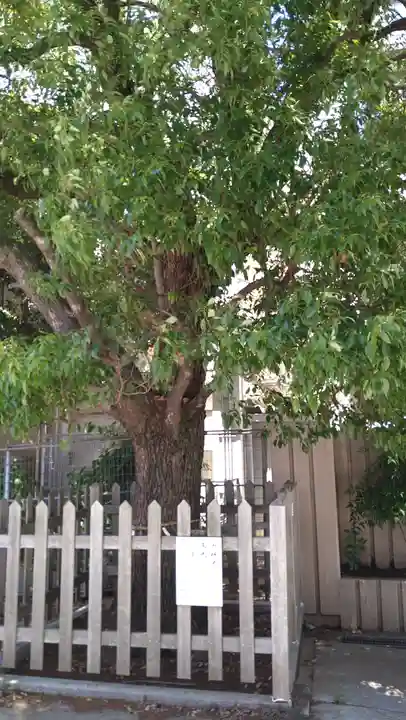 白鳥神社(大阪府)
