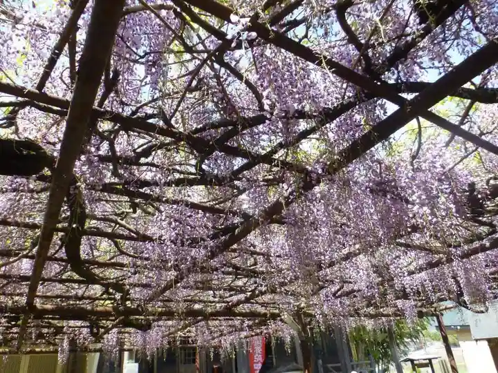 定禅寺(福岡県)