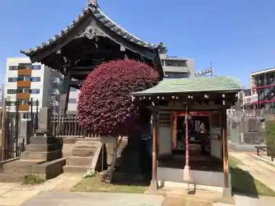 長明寺の{uncategorized: "未分類", other: "その他", undefined: "問題あり", building: "その他建物", grave: "お墓", sacred_gate: "鳥居", guardian: "狛犬", statue: "像", buddha: "仏像", history: "歴史", nature: "自然", garden: "庭園", animal: "動物", pagoda: "塔", temizu: "手水舎", mountain_gate: "山門・神門", sanctuary: "本殿・本堂", subordinate: "末社・摂社", art: "芸術", scenery: "景色", jizo: "地蔵", ema: "絵馬", goshuin: "御朱印", omikuji: "おみくじ", items: "授与品その他", amulet: "お守り", goshuincho: "御朱印帳", eats: "食事", festival: "お祭り", votive_dance: "神楽", shichigosan: "七五三参", wedding: "結婚式", experience: "体験その他", initially: "初詣", around: "周辺", anti_infection: "感染症対策"}