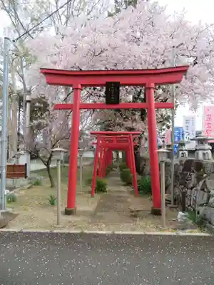 定林寺の鳥居