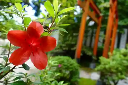 葛城一言主神社の自然