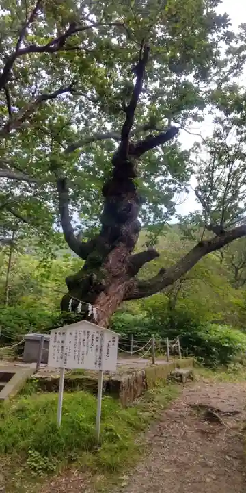 那須温泉神社(栃木県)