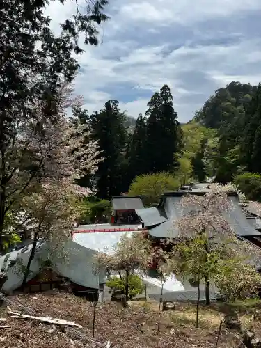 金櫻神社の{uncategorized: "未分類", other: "その他", undefined: "問題あり", building: "その他建物", grave: "お墓", sacred_gate: "鳥居", guardian: "狛犬", statue: "像", buddha: "仏像", history: "歴史", nature: "自然", garden: "庭園", animal: "動物", pagoda: "塔", temizu: "手水舎", mountain_gate: "山門・神門", sanctuary: "本殿・本堂", subordinate: "末社・摂社", art: "芸術", scenery: "景色", jizo: "地蔵", ema: "絵馬", goshuin: "御朱印", omikuji: "おみくじ", items: "授与品その他", amulet: "お守り", goshuincho: "御朱印帳", eats: "食事", festival: "お祭り", votive_dance: "神楽", shichigosan: "七五三参", wedding: "結婚式", experience: "体験その他", initially: "初詣", around: "周辺", anti_infection: "感染症対策"}