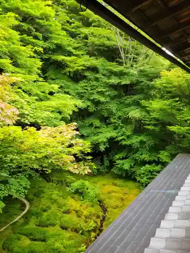 光明寺瑠璃光院(京都府)