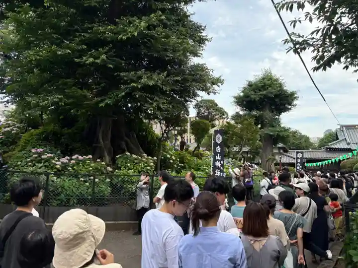 白山神社(東京都)