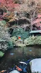 箱根神社(神奈川県)