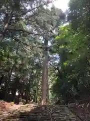 元伊勢内宮 皇大神社の自然