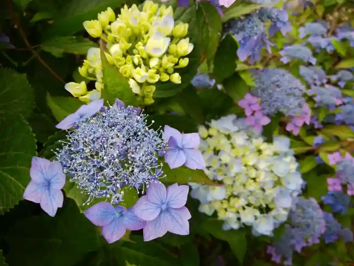 虻田神社の自然