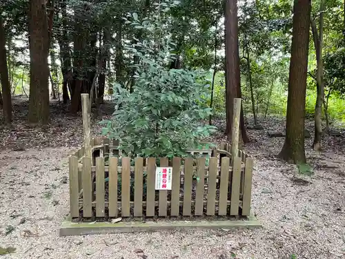 能褒野神社(三重県)