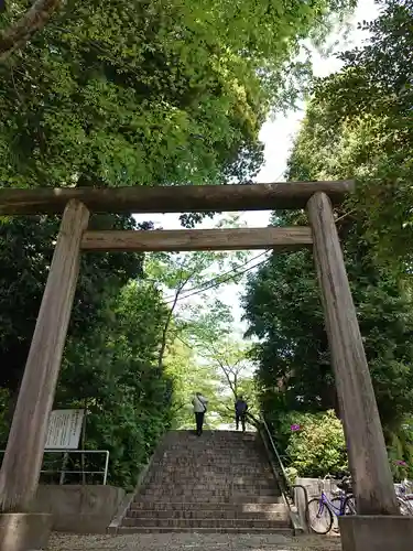 所澤神明社の鳥居