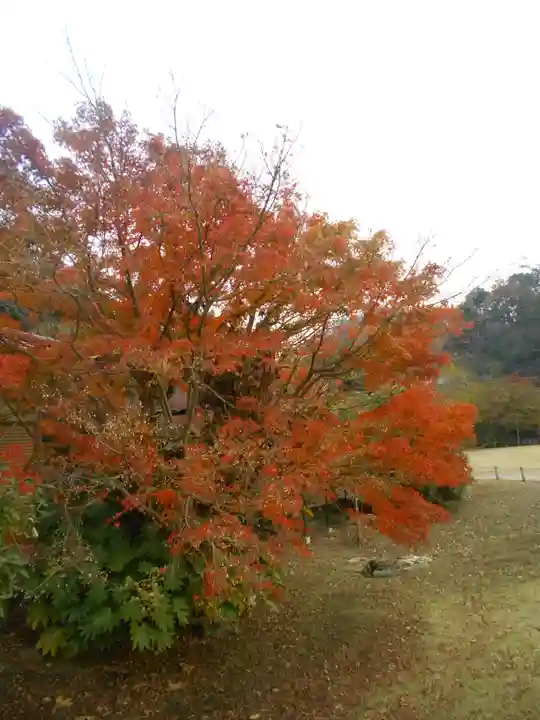 永福寺跡(永福寺址)の自然