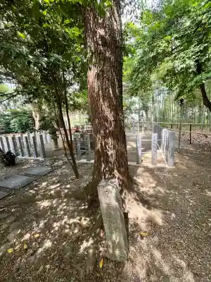 野々宮神社(大阪府)