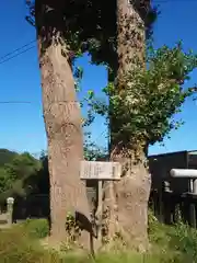 御霊神社(神奈川県)