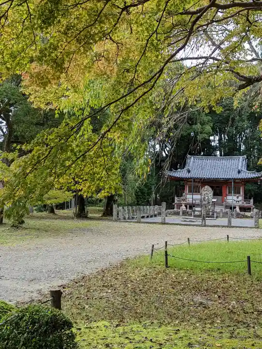 醍醐寺(京都府)