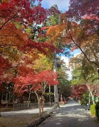 大原野神社の景色