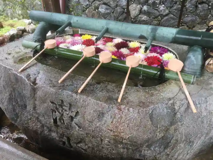 岡寺(龍蓋寺)の手水舎