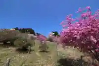 宝登山神社奥宮(埼玉県)