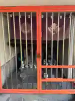 錦狸大神(兵庫県)