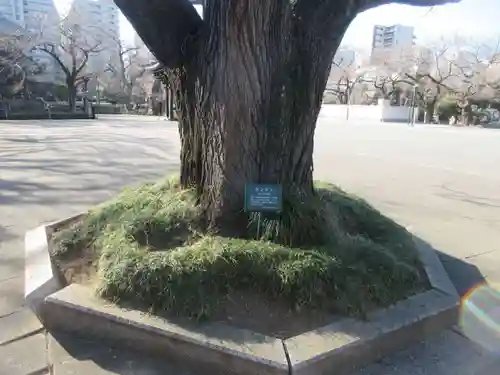 吉祥寺(東京都)