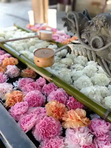 柳谷観音　楊谷寺の手水舎