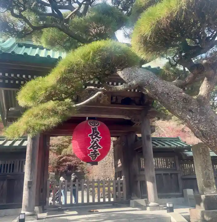 長谷寺の{uncategorized: "未分類", other: "その他", undefined: "問題あり", building: "その他建物", grave: "お墓", sacred_gate: "鳥居", guardian: "狛犬", statue: "像", buddha: "仏像", history: "歴史", nature: "自然", garden: "庭園", animal: "動物", pagoda: "塔", temizu: "手水舎", mountain_gate: "山門・神門", sanctuary: "本殿・本堂", subordinate: "末社・摂社", art: "芸術", scenery: "景色", jizo: "地蔵", ema: "絵馬", goshuin: "御朱印", omikuji: "おみくじ", items: "授与品その他", amulet: "お守り", goshuincho: "御朱印帳", eats: "食事", festival: "お祭り", votive_dance: "神楽", shichigosan: "七五三参", wedding: "結婚式", experience: "体験その他", initially: "初詣", around: "周辺", anti_infection: "感染症対策"}