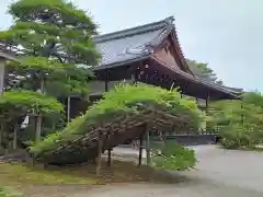 鹿苑寺（金閣寺）(京都府)