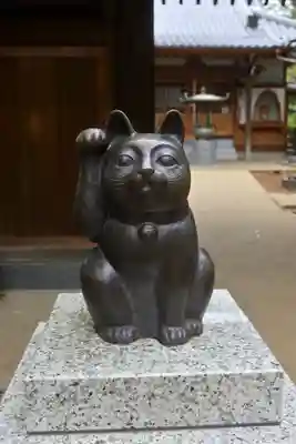 豪徳寺(東京都)