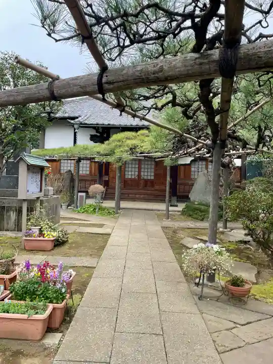 妙情寺の{uncategorized: "未分類", other: "その他", undefined: "問題あり", building: "その他建物", grave: "お墓", sacred_gate: "鳥居", guardian: "狛犬", statue: "像", buddha: "仏像", history: "歴史", nature: "自然", garden: "庭園", animal: "動物", pagoda: "塔", temizu: "手水舎", mountain_gate: "山門・神門", sanctuary: "本殿・本堂", subordinate: "末社・摂社", art: "芸術", scenery: "景色", jizo: "地蔵", ema: "絵馬", goshuin: "御朱印", omikuji: "おみくじ", items: "授与品その他", amulet: "お守り", goshuincho: "御朱印帳", eats: "食事", festival: "お祭り", votive_dance: "神楽", shichigosan: "七五三参", wedding: "結婚式", experience: "体験その他", initially: "初詣", around: "周辺", anti_infection: "感染症対策"}