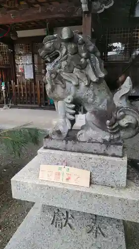 八幡神社の狛犬