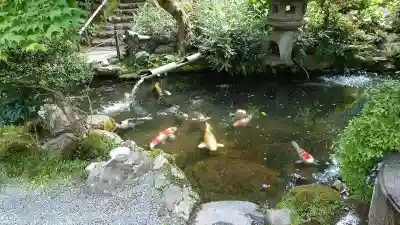 一條殿 新善光寺(京都府)