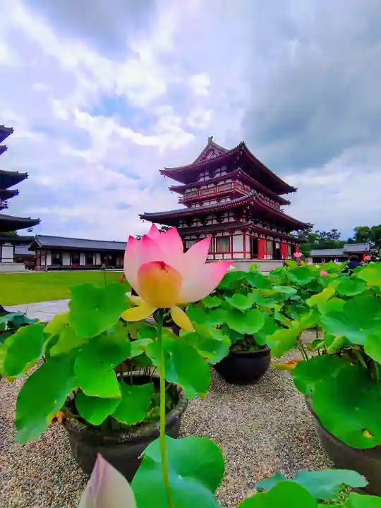 薬師寺の自然