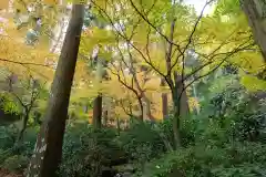 東慶寺の自然