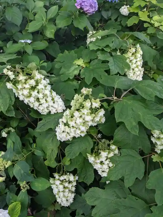 御裳神社の自然