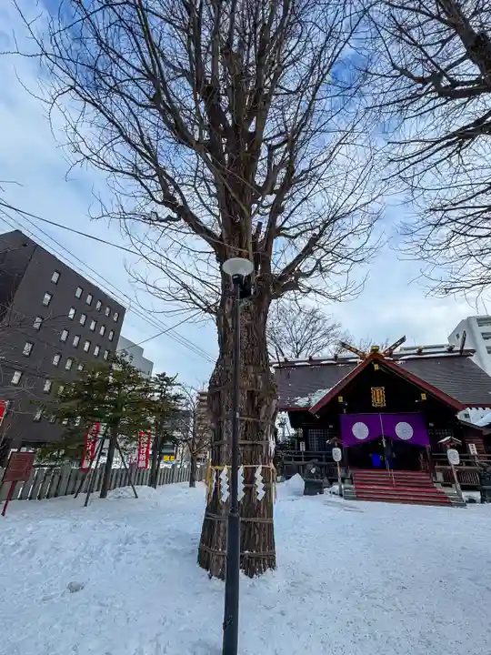 北海道神宮頓宮の自然