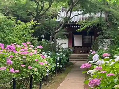 本土寺(千葉県)