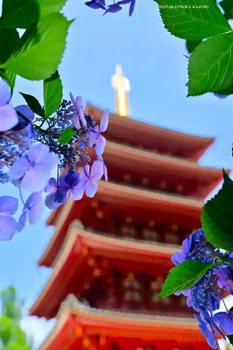 高幡不動尊 金剛寺(東京都)