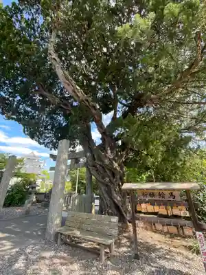 川島神社(徳島県)