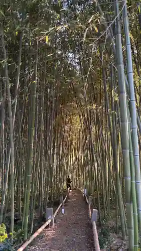 鹿王院(京都府)