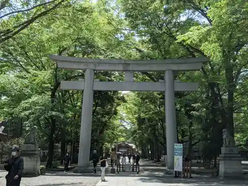 大國魂神社の鳥居