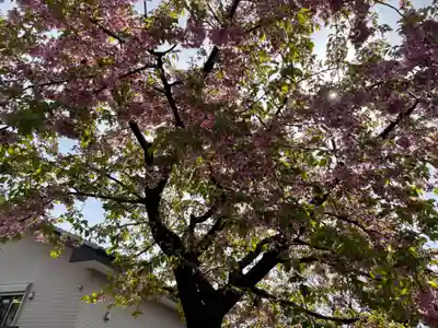 日々神社(神奈川県)