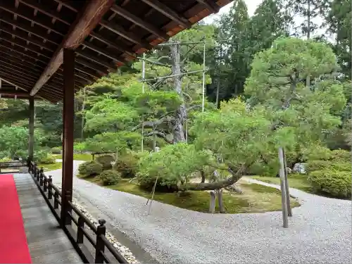 曼殊院門跡(京都府)