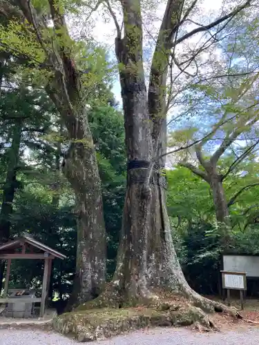 國津神社(三重県)