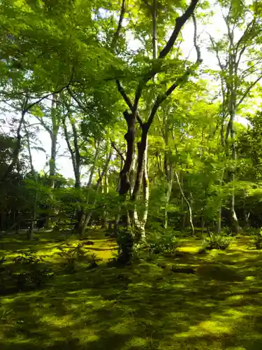 祇王寺の庭園