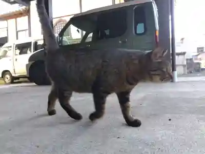 正覚寺(福井県)