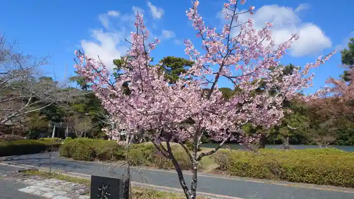 桜ヶ池池宮神社(静岡県)