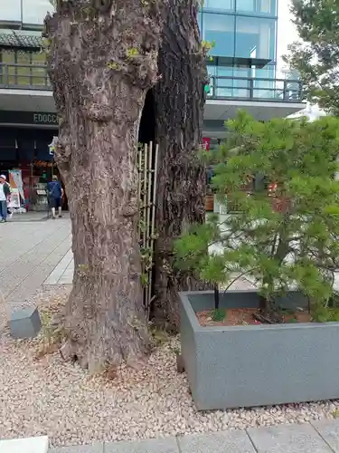 神田神社（神田明神）(東京都)