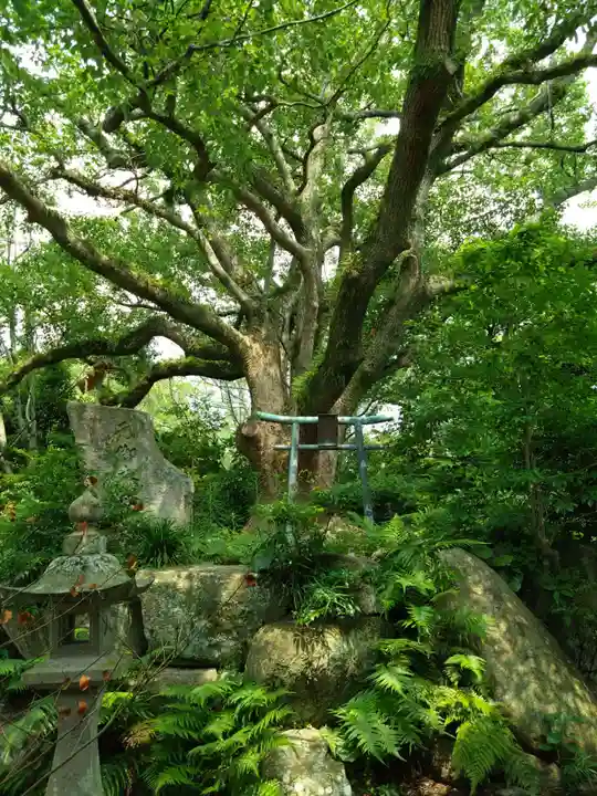 宮地嶽神社(福岡県)